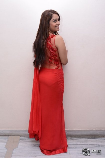 Nikitha-at-Terror-Movie-Press-Meet